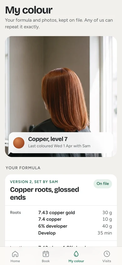 The app's colour record: the formula on file